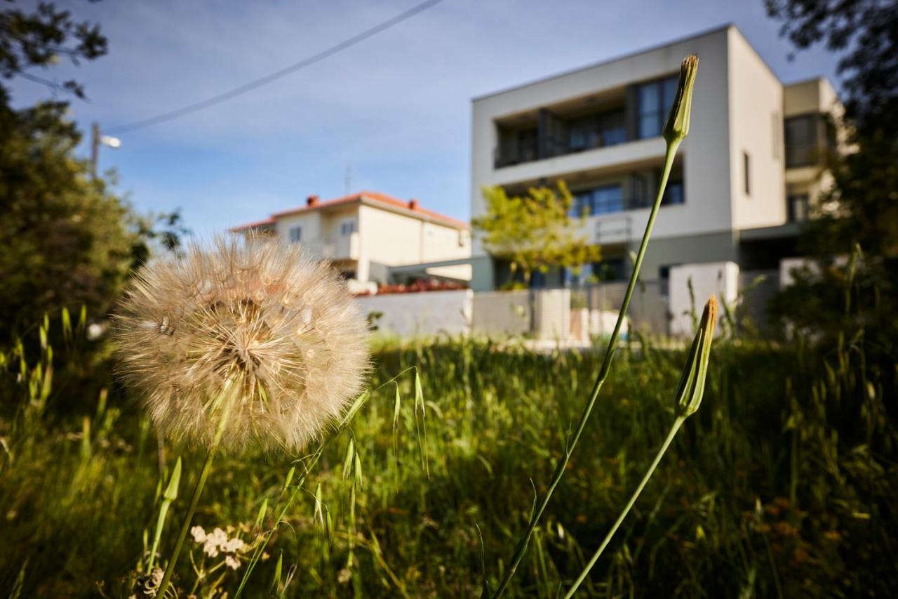 Villa Grdelina سوبيتار المظهر الخارجي الصورة