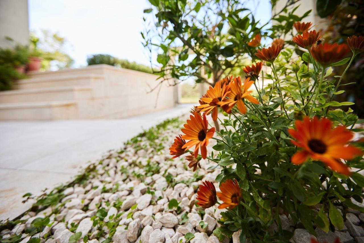 Villa Grdelina سوبيتار المظهر الخارجي الصورة